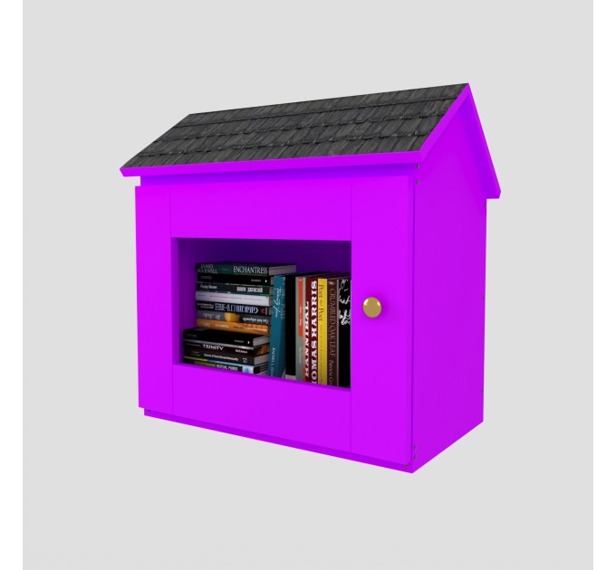 DIY project. Outdoor Shared Library Community Neighborhood Sidewalk Loan Tiny Blessing Box Little Free Pantry Street - Digital Download Only